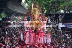 visarjan 2014 visarjan 2014